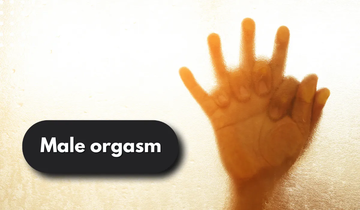 Male orgasm